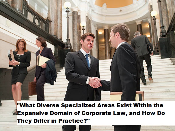 “What Diverse Specialized Areas Exist Within the Expansive Domain of Corporate Law, and How Do They Differ in Practice?”